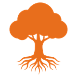 RootSystems